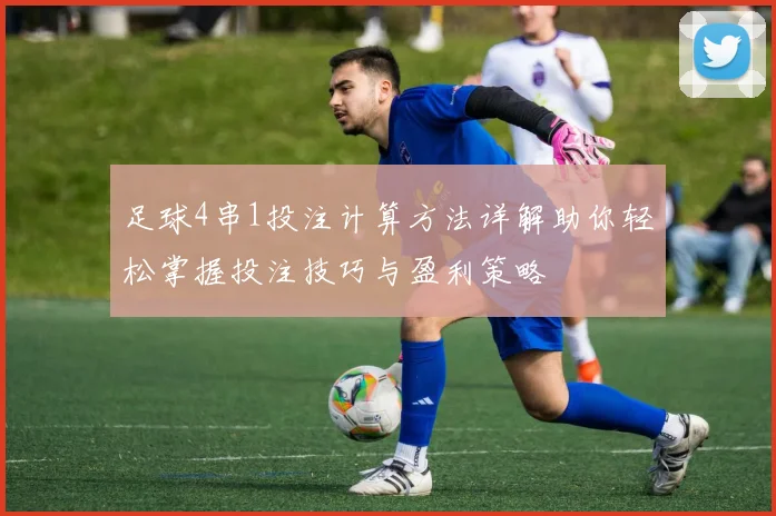 足球4串1投注计算方法详解助你轻松掌握投注技巧与盈利策略