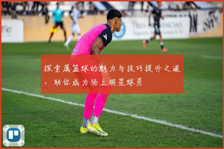 探索属篮球的魅力与技巧提升之道，助你成为场上明星球员
