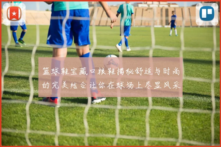 篮球鞋宝藏口粮鞋揭秘舒适与时尚的完美结合让你在球场上尽显风采