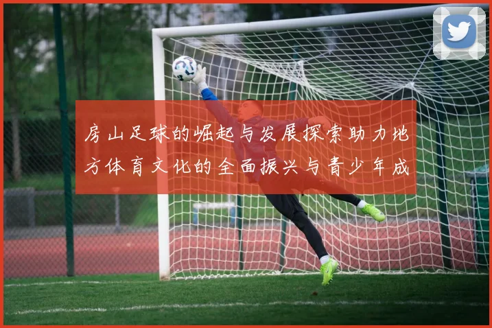 房山足球的崛起与发展探索助力地方体育文化的全面振兴与青少年成长