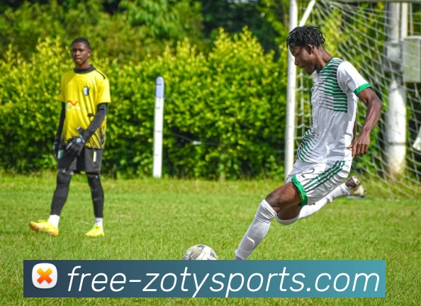 中欧体育平台生态图